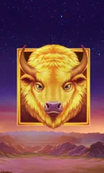 Buffalo's Sun 2